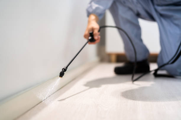 Professional exterminator conducting IPM assessment in Leitchfield