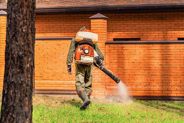 Top rated local Wasp Removal specialists in Leitchfield, KY